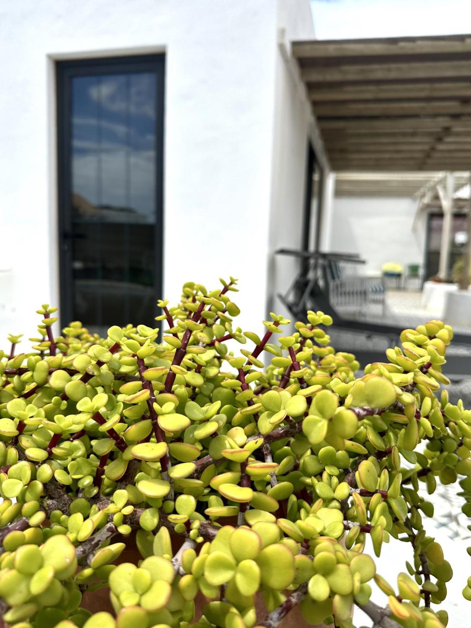 Appartamento Casita Tiare Lajares Esterno foto