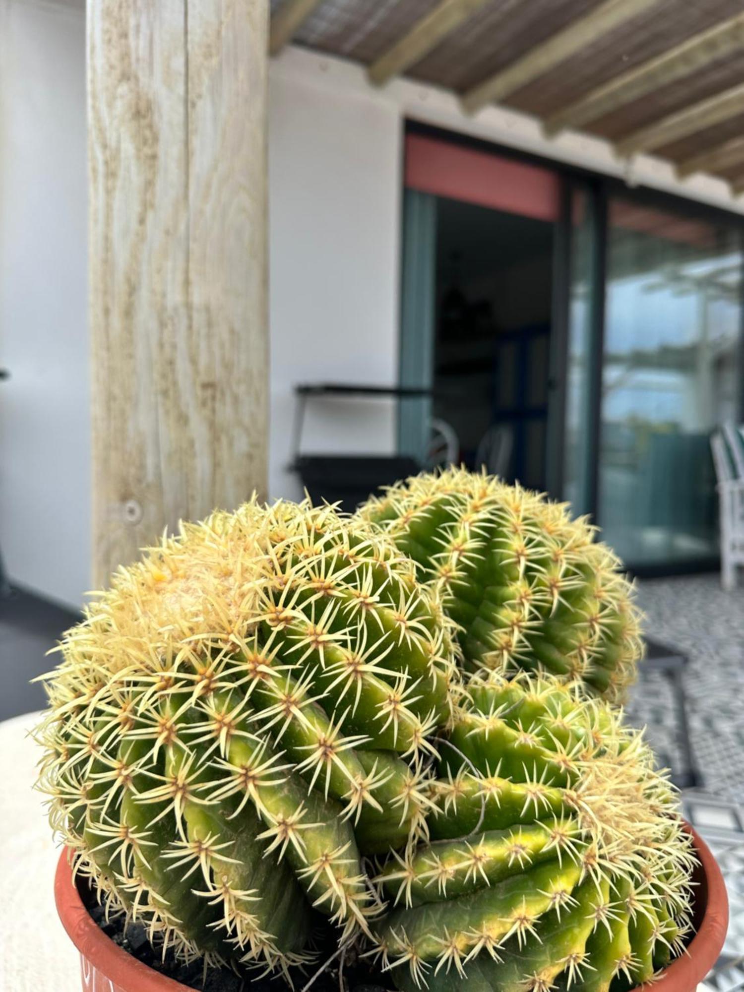 Appartamento Casita Tiare Lajares Esterno foto